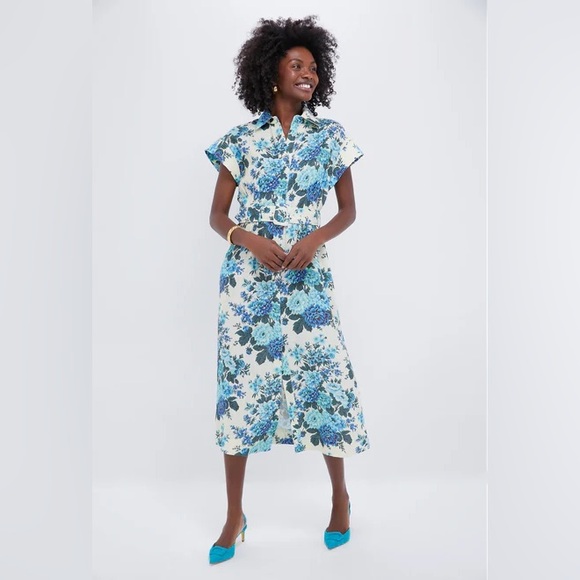 Tuckernuck Dresses & Skirts - Tuckernuck Wild Zinnia Linen Chloe Dress